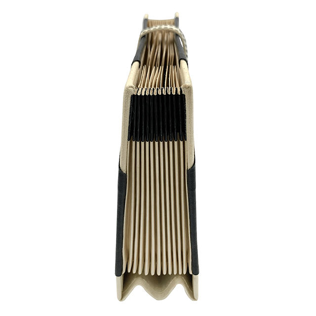 Expanding Accordion File Folder