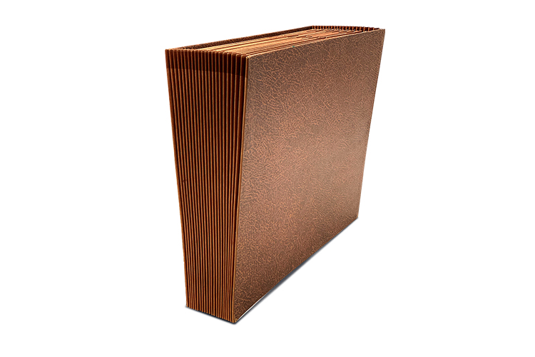 file folder with blank paper