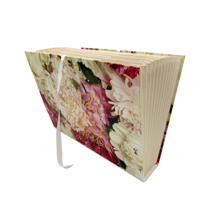 Paper file folder