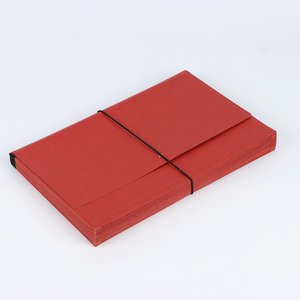 Paper Expanding file Folder