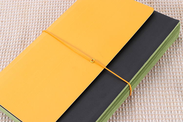 plastic paper file folder