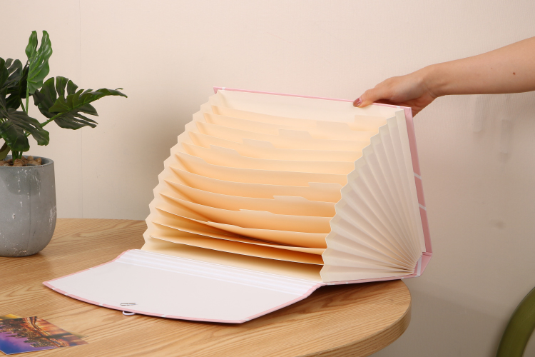 Office Paper Expanding File Folder