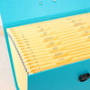 Wholesale 19-Pocket A4 Expanding Accordion File Box Paper Document Organizer Handle Box-Shaped Folder Bag Office School Use