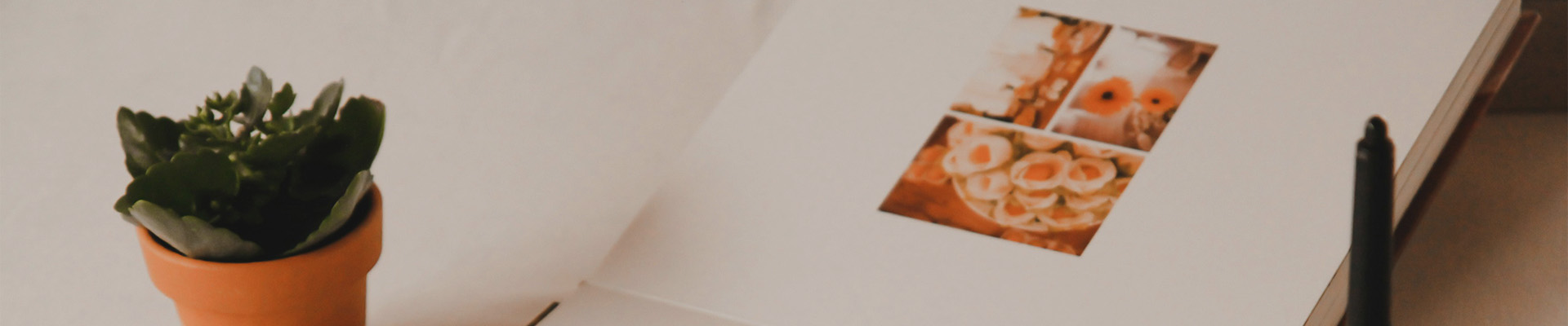 Paper Products