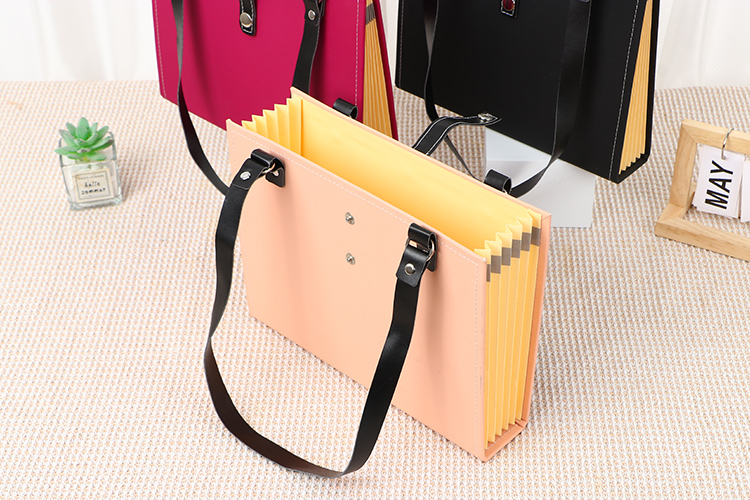 File bag organizer