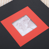 rifle paper photo album