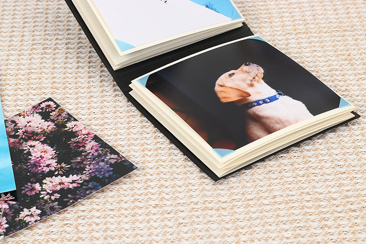 photo album paper sheets types