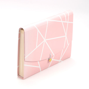 Wholesale Custom Logo A4 Size Cardboard Document Organizer Expanding File Folder School Stationery cute paper bags