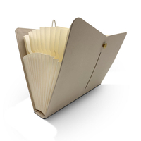 Expandable File Folders